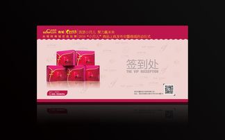 cctv央视商城品牌 小月儿 商品发布会提案