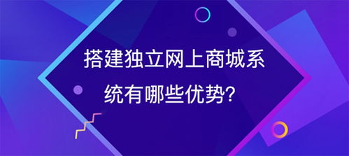 独立网上商城系统的核心优势