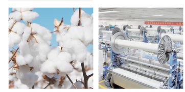 必要商城 大牌品质与工厂价格的双重革命